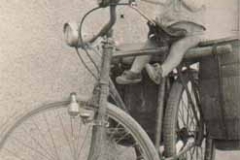 Año 1958. La bicicleta del aceitunero.